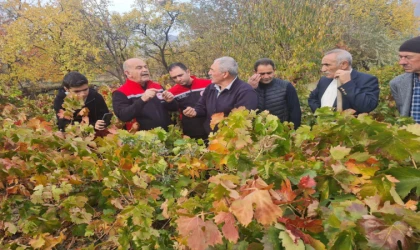 Üzümlü’de Çiftçilere Uygulamalı Bağcılık Eğitimi