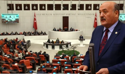 Karaman, TBMM'de Erzincan'ın Sorunlarını Gündeme Taşıdı