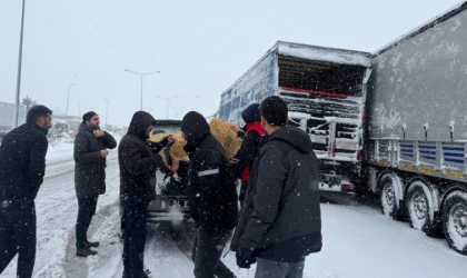 Açlık Riskine Müdahale: Tarım Ekipleri Seferber Oldu