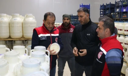 Erzincan Tulum Peyniri İçin Yerinde İnceleme