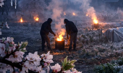 Nisan Ayında Don Tehlikesi Üreticiyi Endişelendiriyor