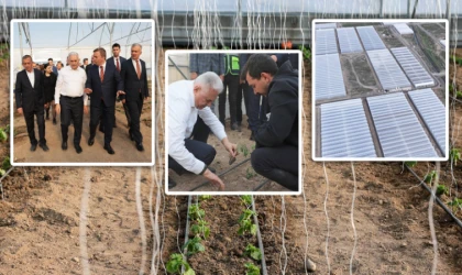 Yıldırım'dan Toplu Sera Bölgesi’ne Ziyaret