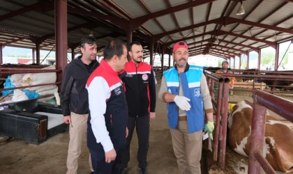 Erzincan Hayvan Pazarı’nda Bayram Yoğunluğu Zirveye Ulaştı