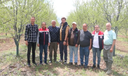Erzincan’da 600 Ağaçlık Modern Vişne Bahçesi