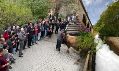 Kemaliye'de kadim bir gelenek yeniden yaşatılıyor