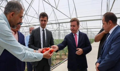 Vali Aydoğdu, Toplu Sera Bölgesi'nde Üretim Sürecini İnceledi