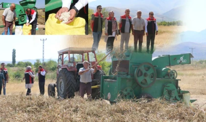 Erzincan’da Kuru Fasulye Hasadı Başladı