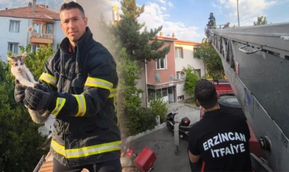 Yavru Kedi, İtfaiye Ekiplerinin Duyarlı Müdahalesiyle Kurtarıldı