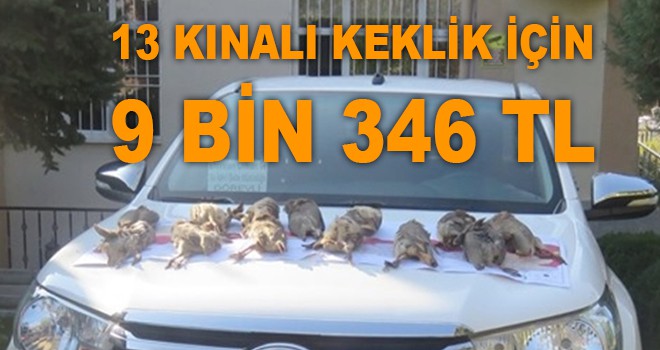 13 KINALI KEKLİK İÇİN 9 BİN 346 TL