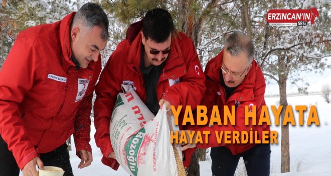 YABAN HAYATA HAYAT VERDİLER
