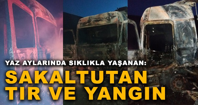 YAZ AYLARINDA SIKLIKLA YAŞANAN: